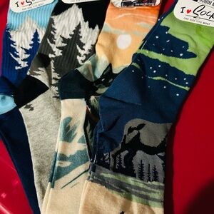 Robin Ruth Blue and Green Casual Socks with Nature-Inspired Designs